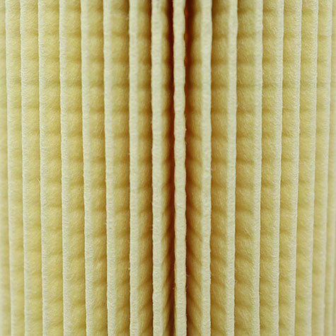 Prime Guard POF 5609 Oil Filter